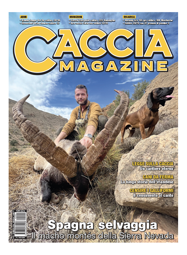 CACCIA MAGAZINE - Febbraio 2024 - digitale