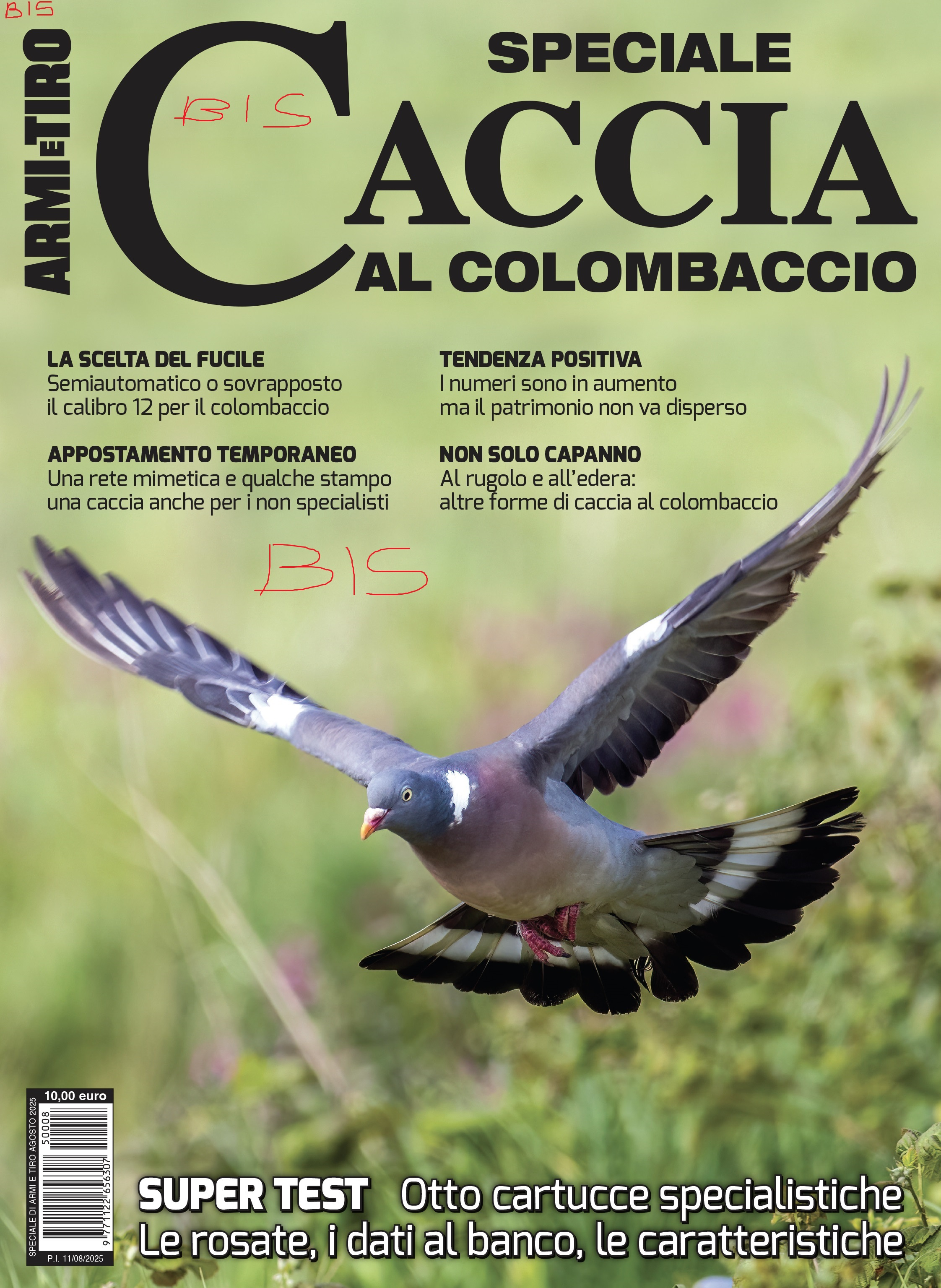 Speciale Caccia al Colombaccio BIS