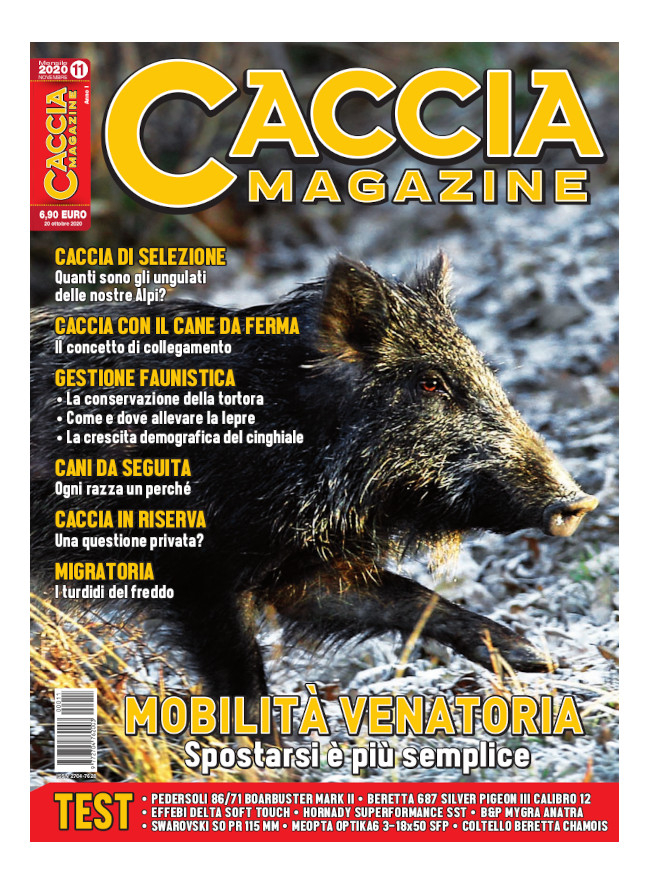 CACCIA MAGAZINE - Novembre 2020 - digitale