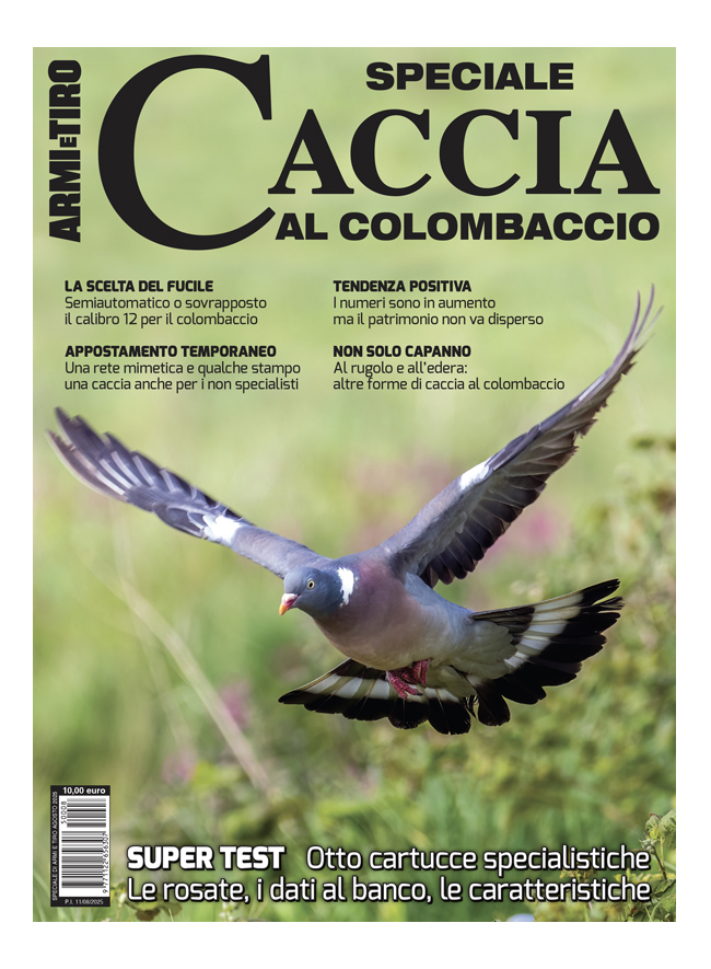 Speciale Caccia al Colombaccio