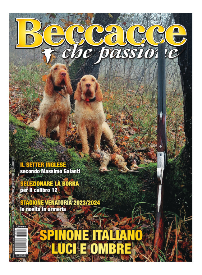 BECCACCE CHE PASSIONE - Luglio / Agosto / Settembre 2023 - digitale