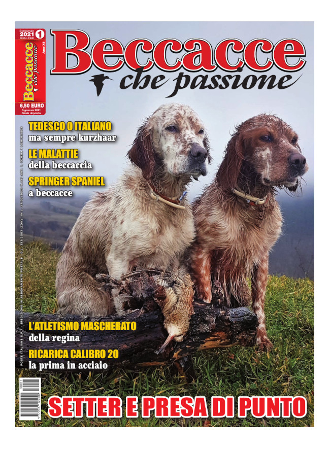 BECCACCE CHE PASSIONE - Gennaio / Febbraio 2021 - digitale